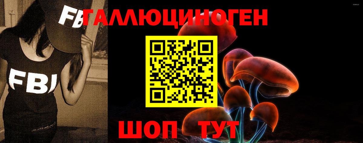 Псилоцибиновые грибы GOLDEN TEACHER Черногорск